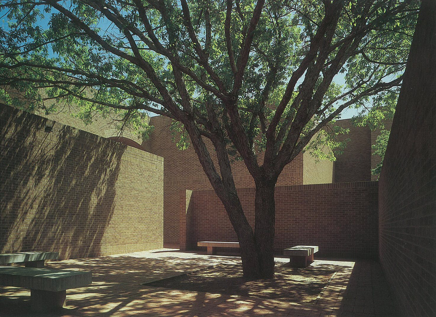 In its West Texas setting, the Texas Tech Law School Building interplays between a series of solid planes, varied columns of space, brick texture and native live oaks.