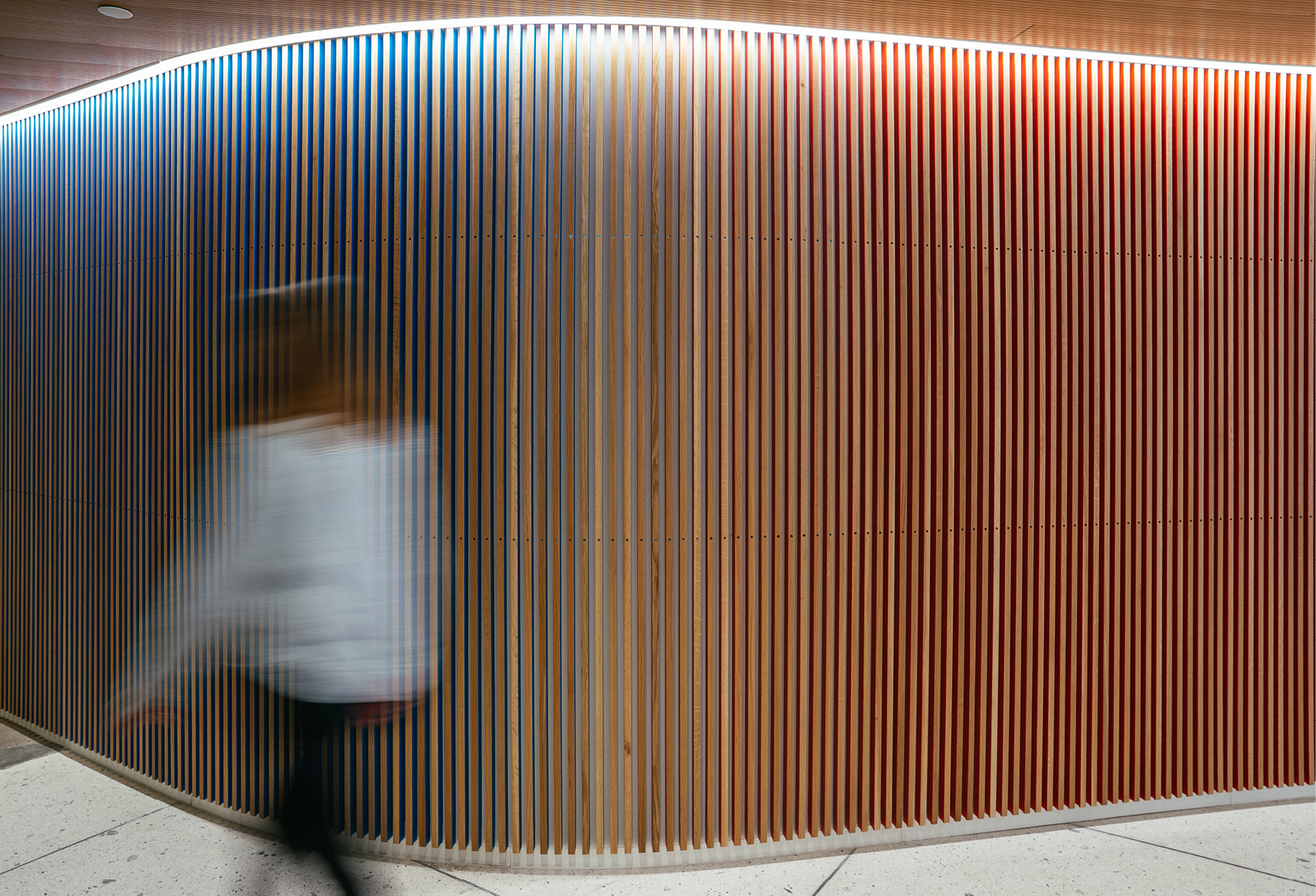 The acoustic rich wood ceiling is the built form of the design parti, clearly defining the overall organization of the project and acting as a navigational device throughout the two floors.

The color-coded architectural walls on both floors inform and represent the two resident groups. Blue facing the more public spaces representing AD EX (the public-centric organization), and Red facing more private/professional spaces representing Dallas AIA (the professional organization).