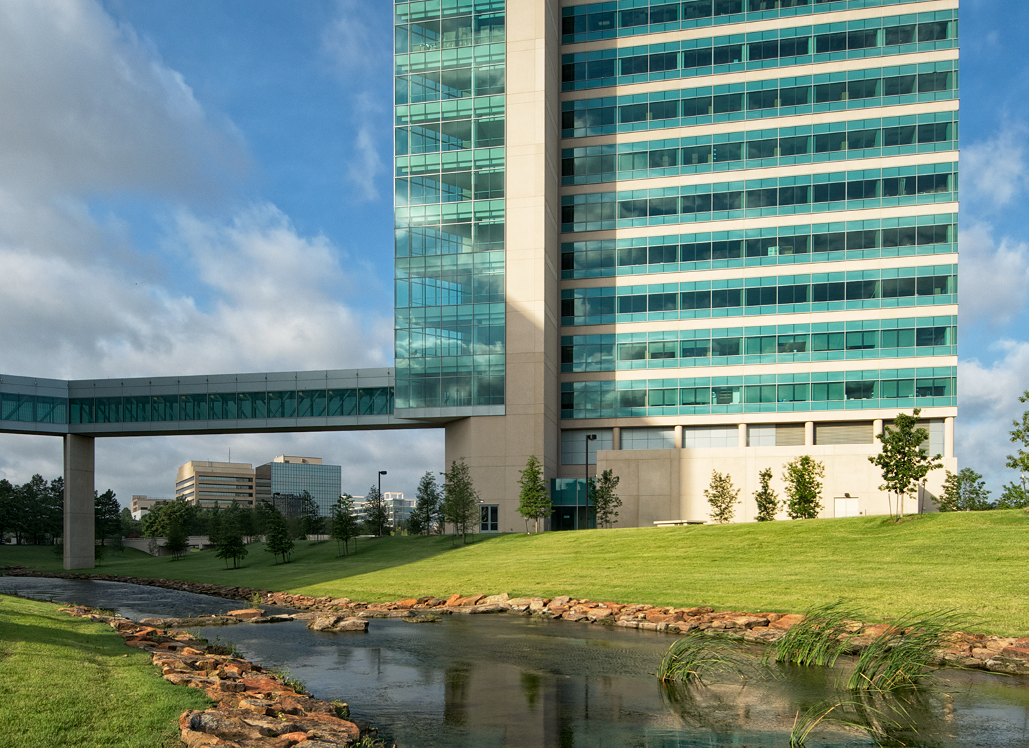 Below grade, a cistern collects rainwater to redistribute throughout an irrigation system designed to maintain the landscape.